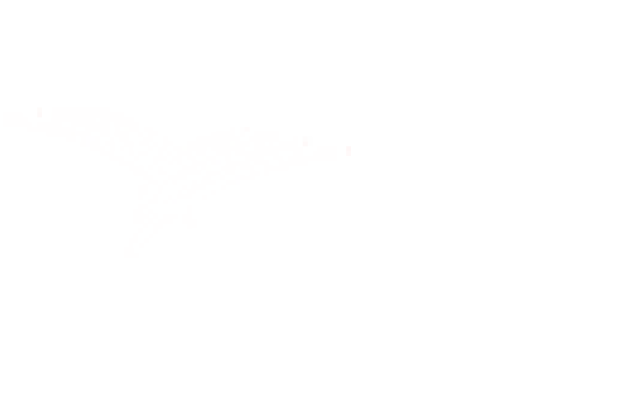 Cardinal Health Logo